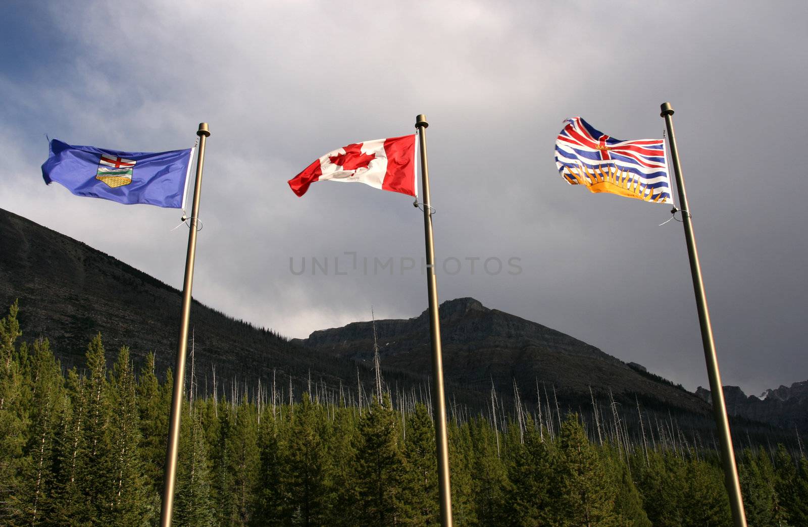Flags - Canada provinces by tupungato