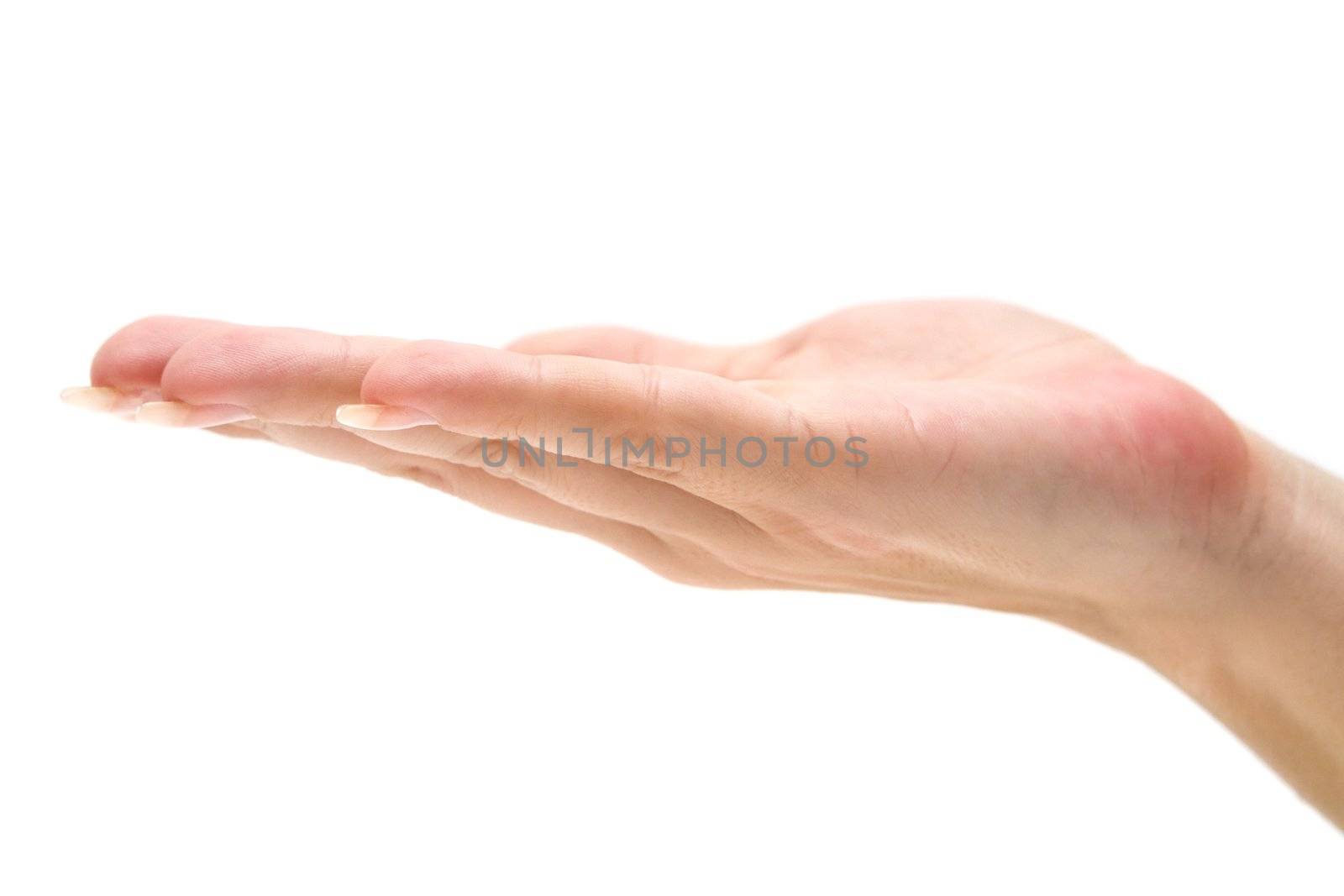Female hand isolated on a white background.