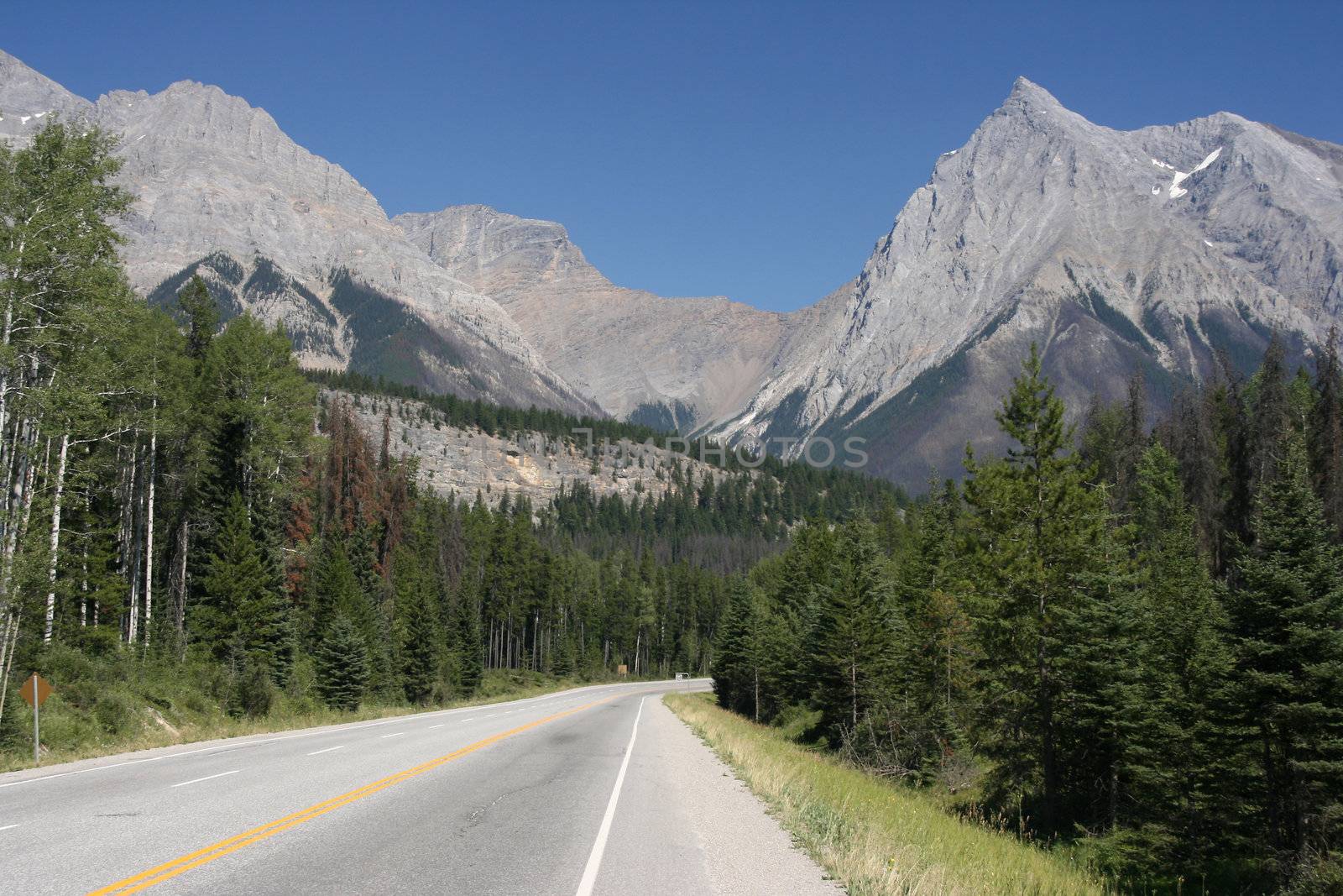 Straight scenic road in British Columbia, Canada. Rocky Mountains landscape. Yoho National Park.