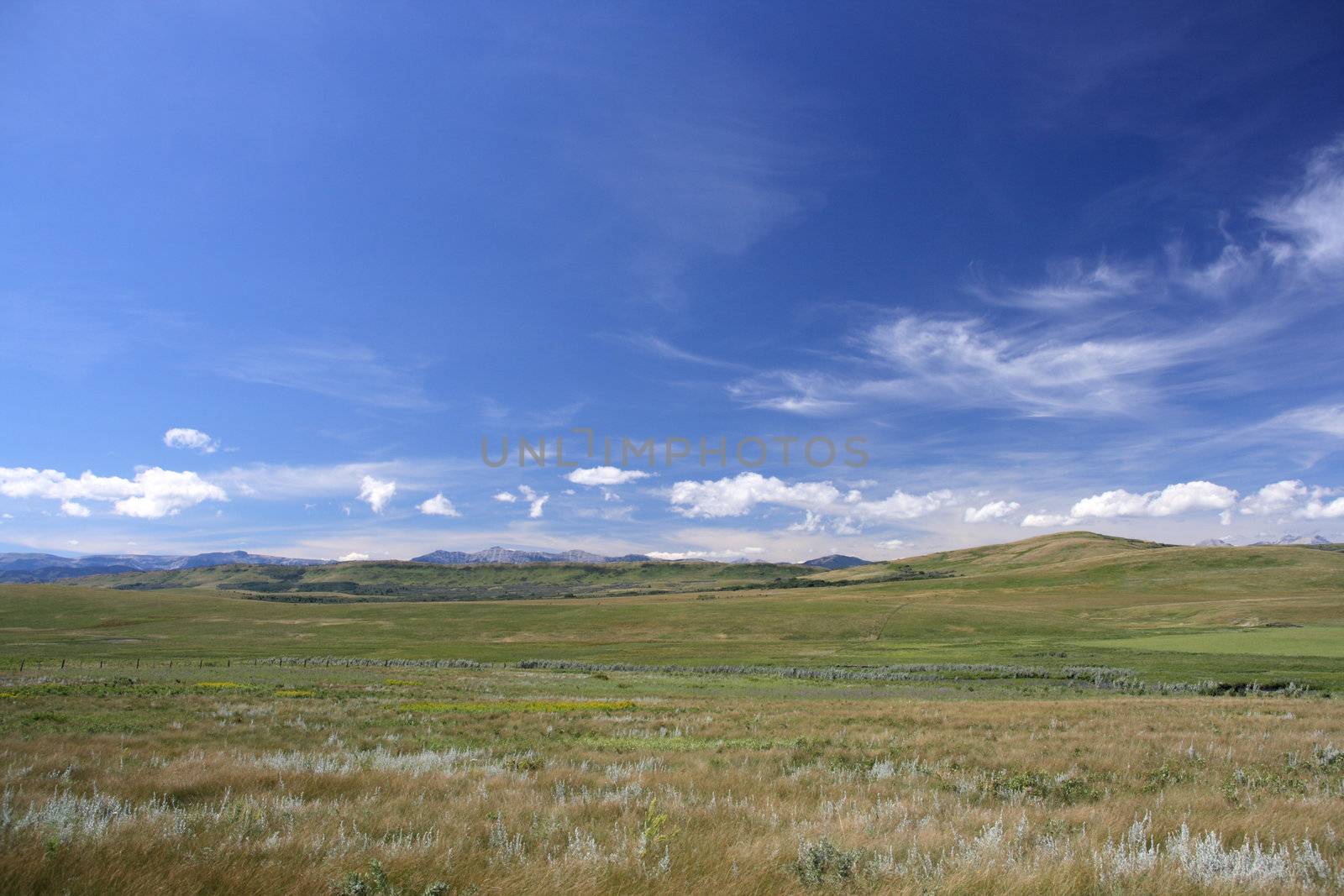 Prairie by tupungato