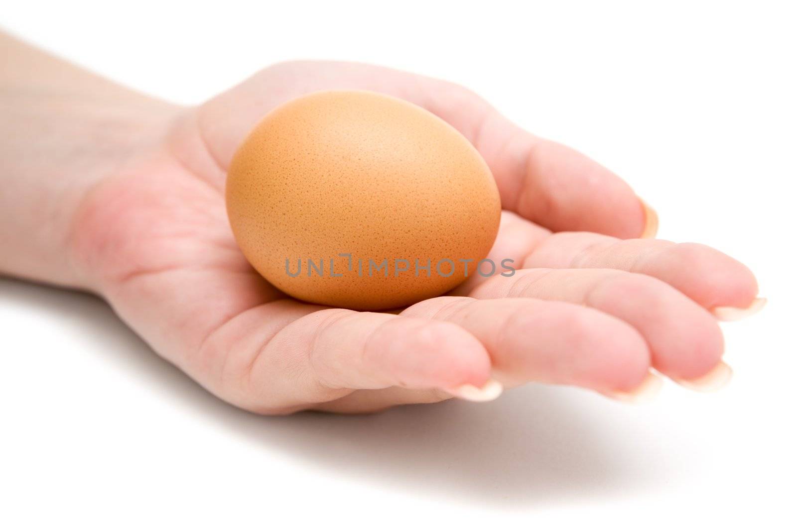 Female holding a brown egg. White background.