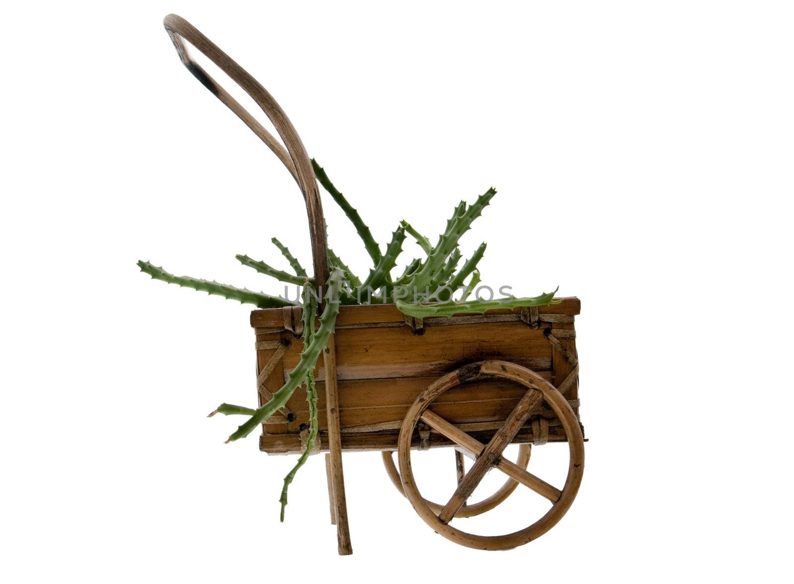 decoration cart by dyvan