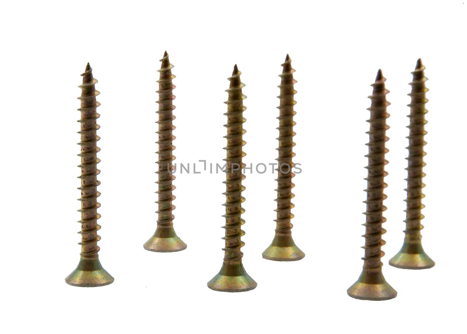 The picture of the cute copper screws
