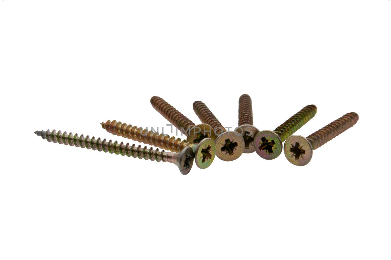 group of screws by dyvan