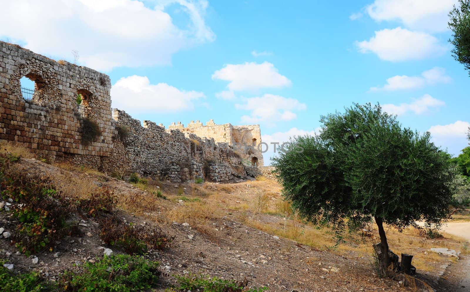 View To Ruins Of The Crusader Fortress Antipatris