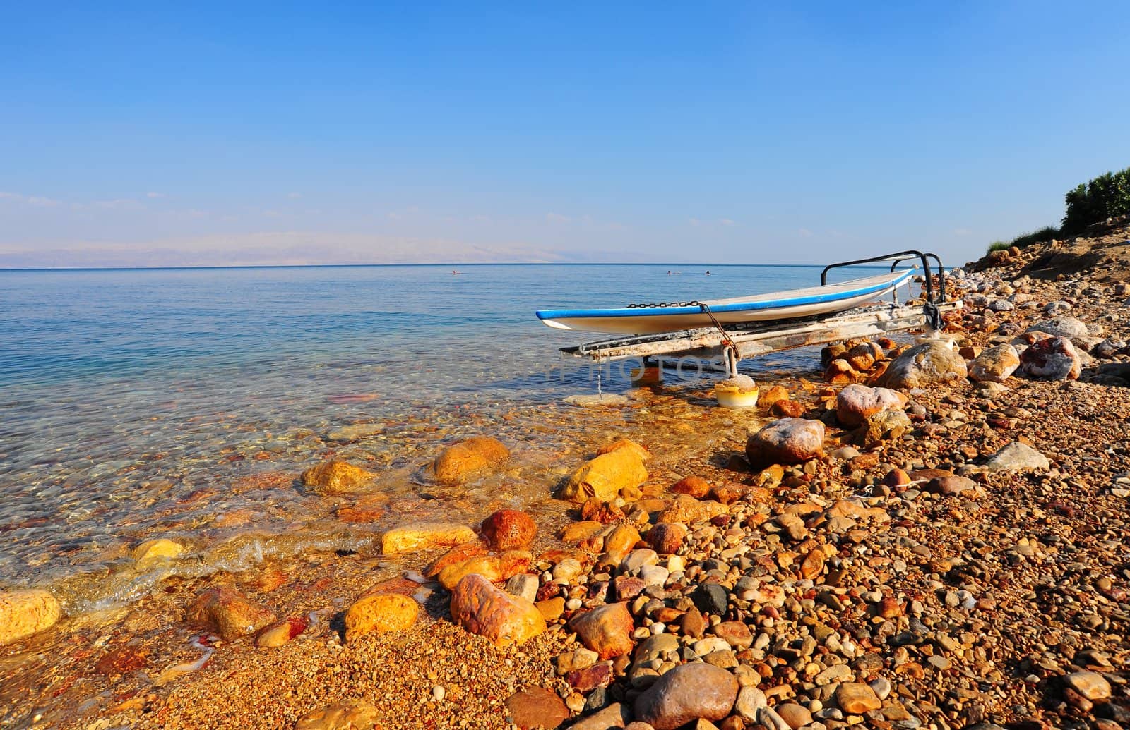 Salt Glazed Board For Windsurfing On The Beach Of Dead Sea.