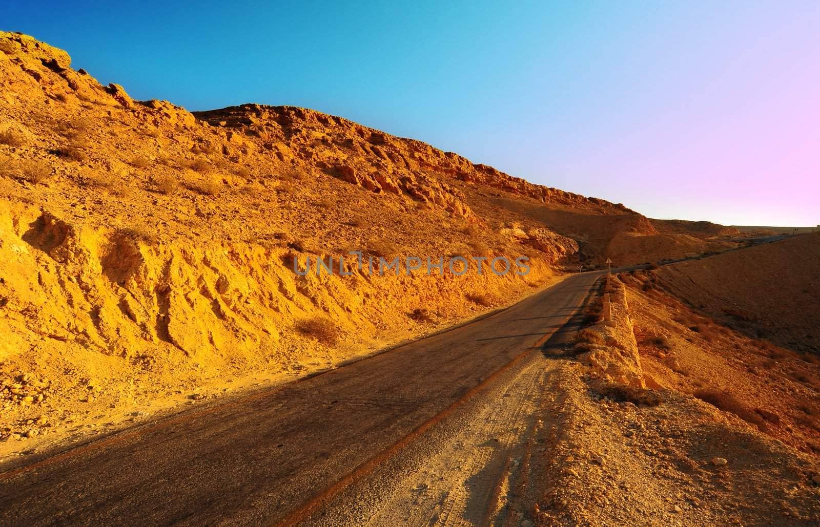 Lonely Road In The Negev Desert, Sunset