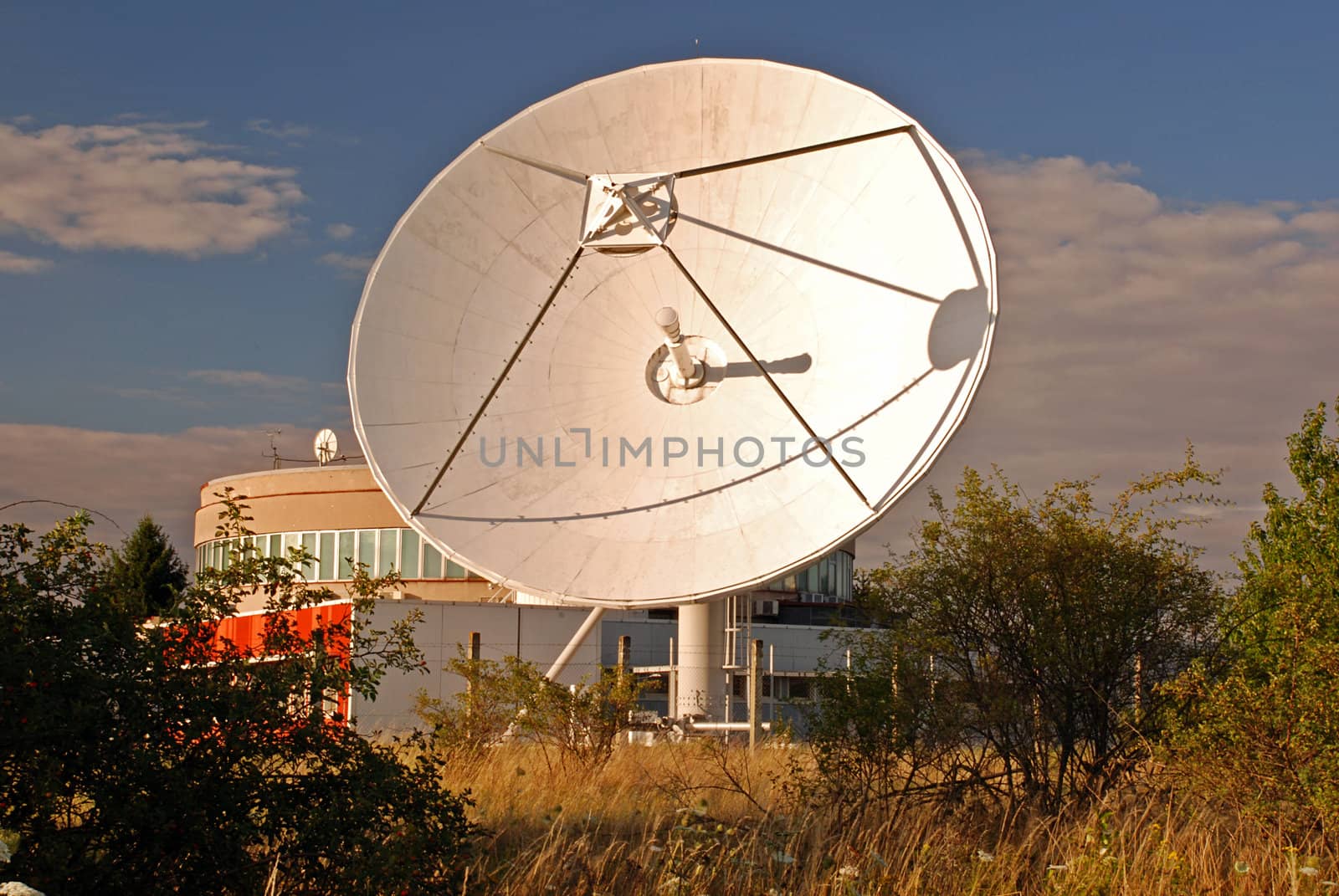 Broadcasting center with satellites hidden between the trees