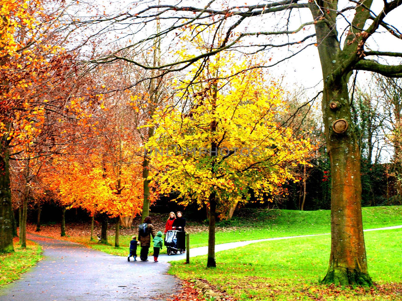 people walking in the park,November 2009 ,Bristol,Uk