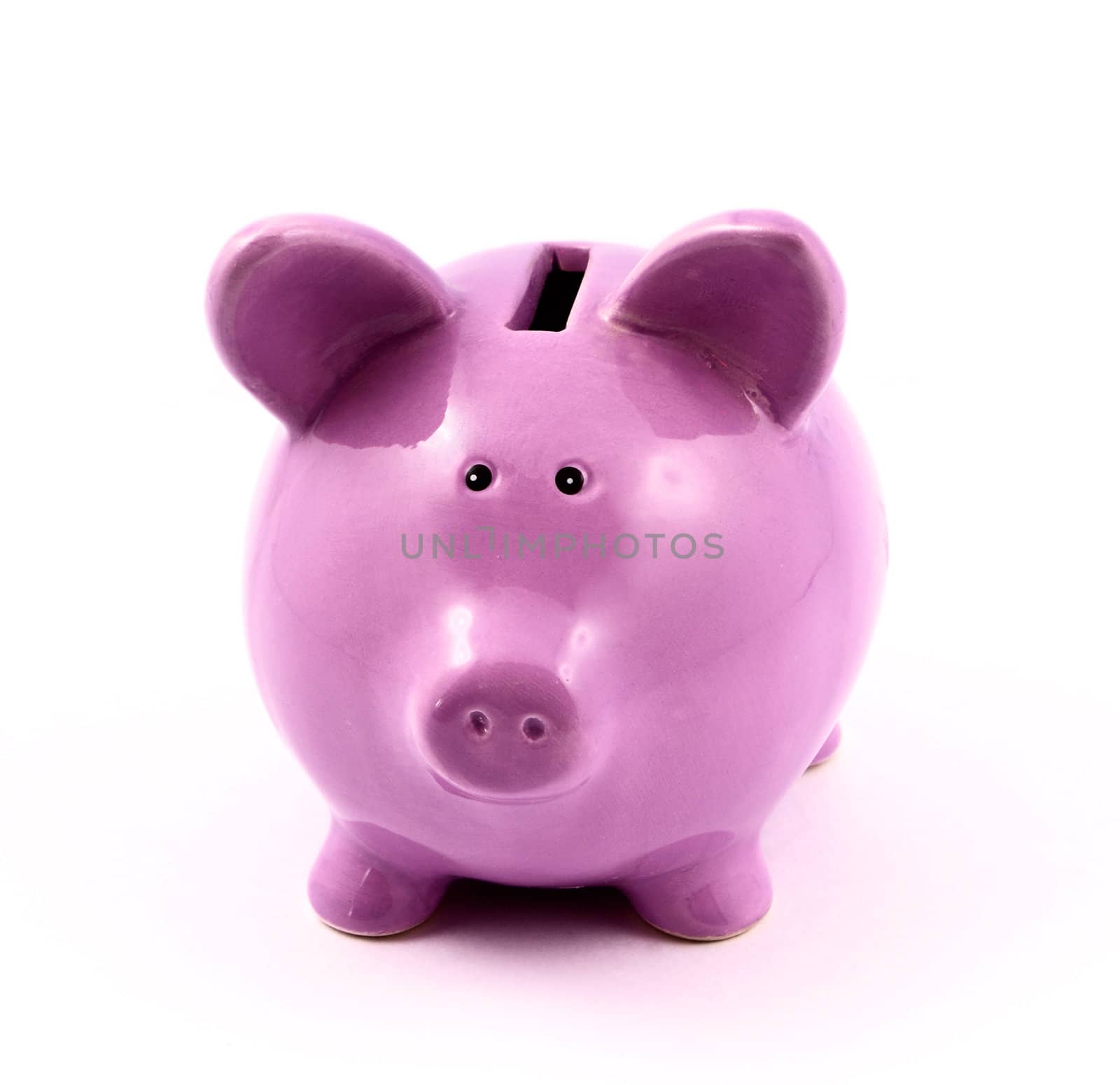 purple piggy-bank isolated on white background