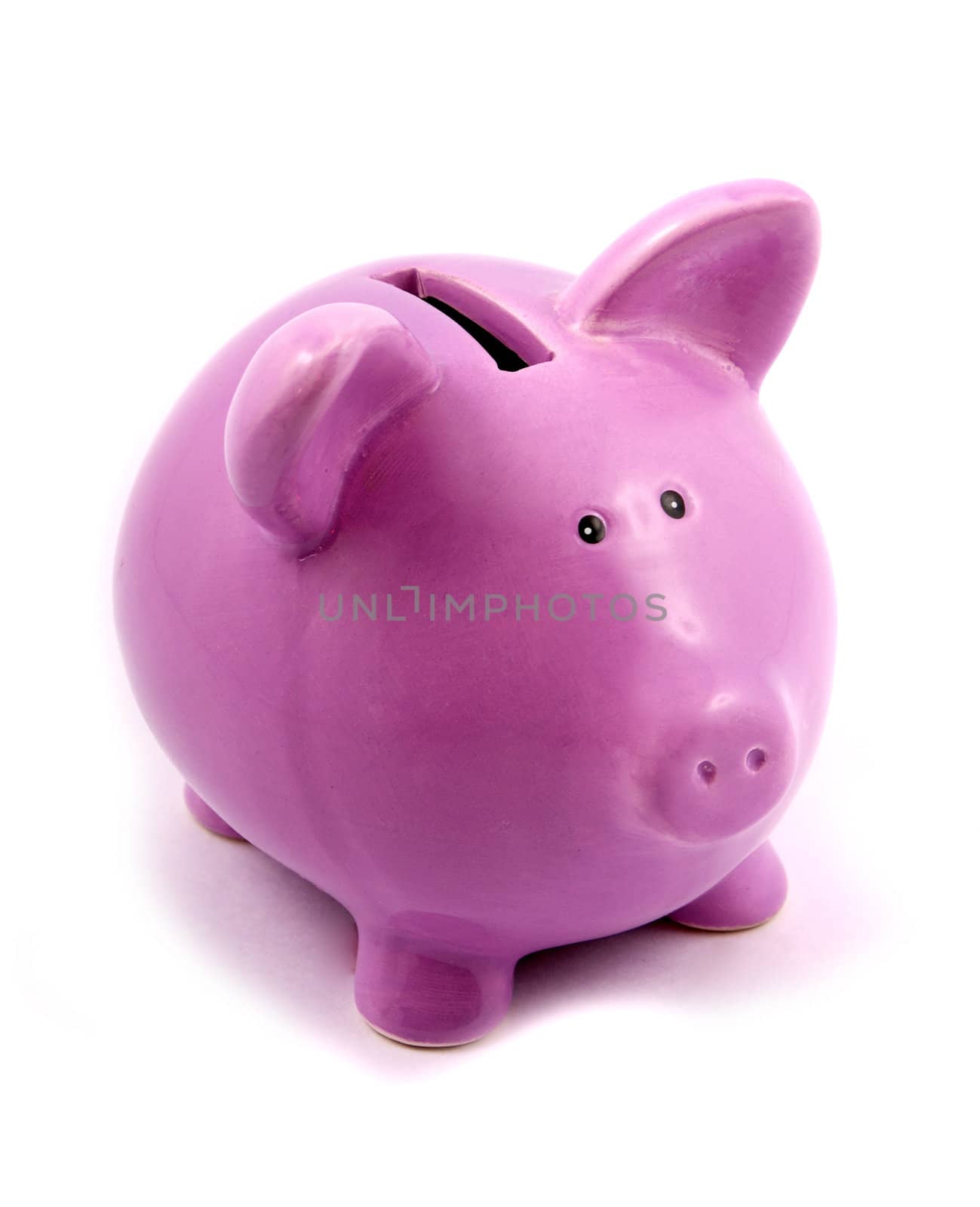 purple piggy-bank isolated on white background
