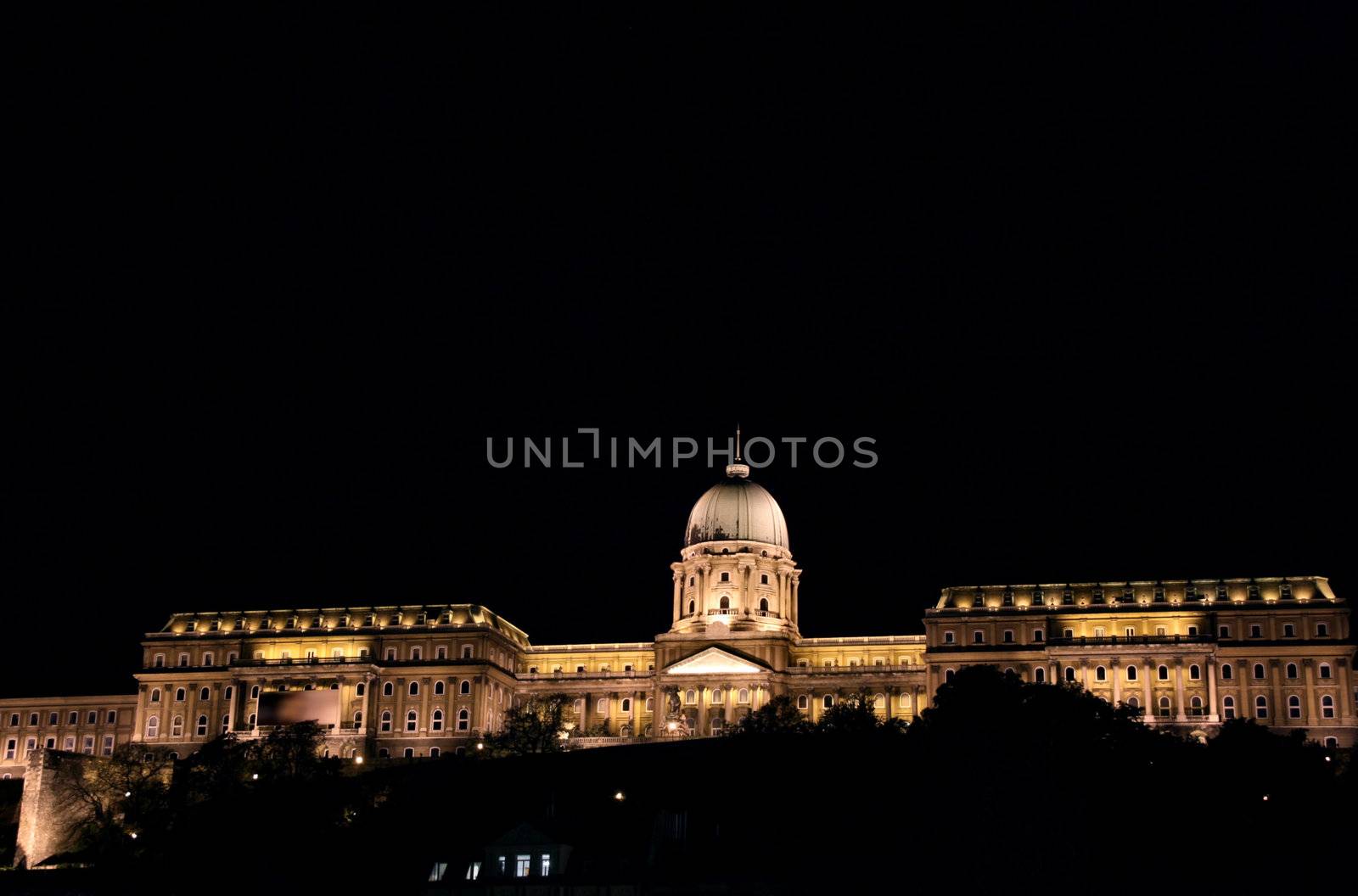 Royal castle at night, Budapest by tupungato
