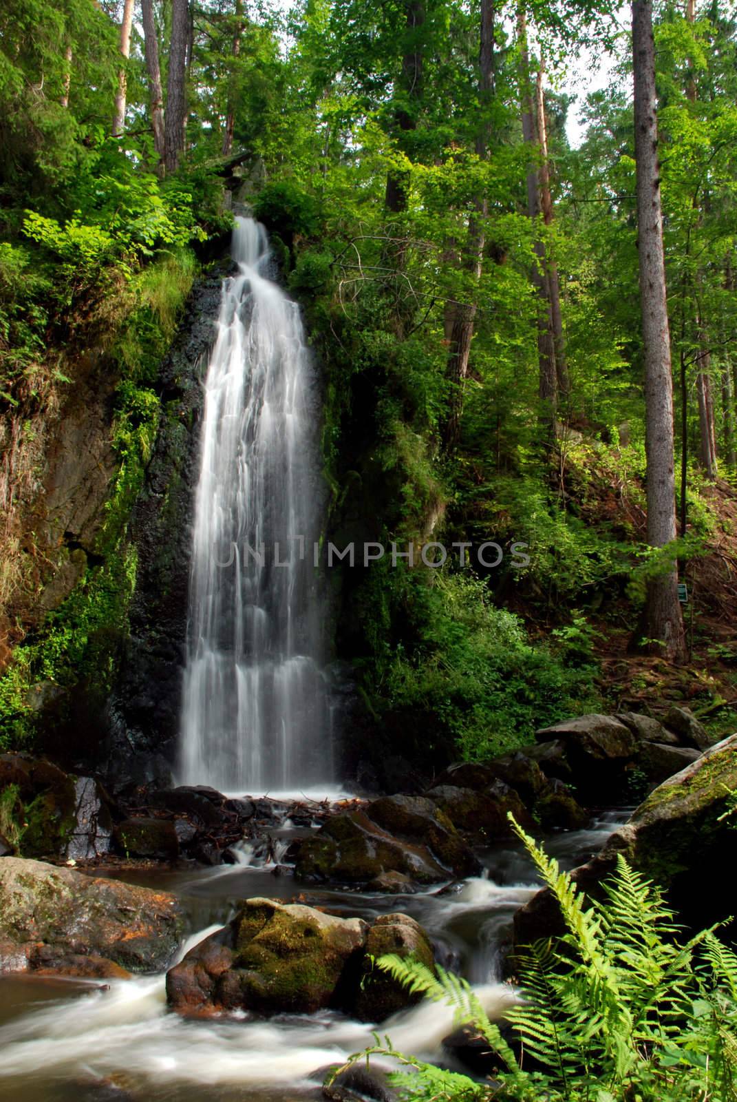 Waterfall in the forest with a long exposure