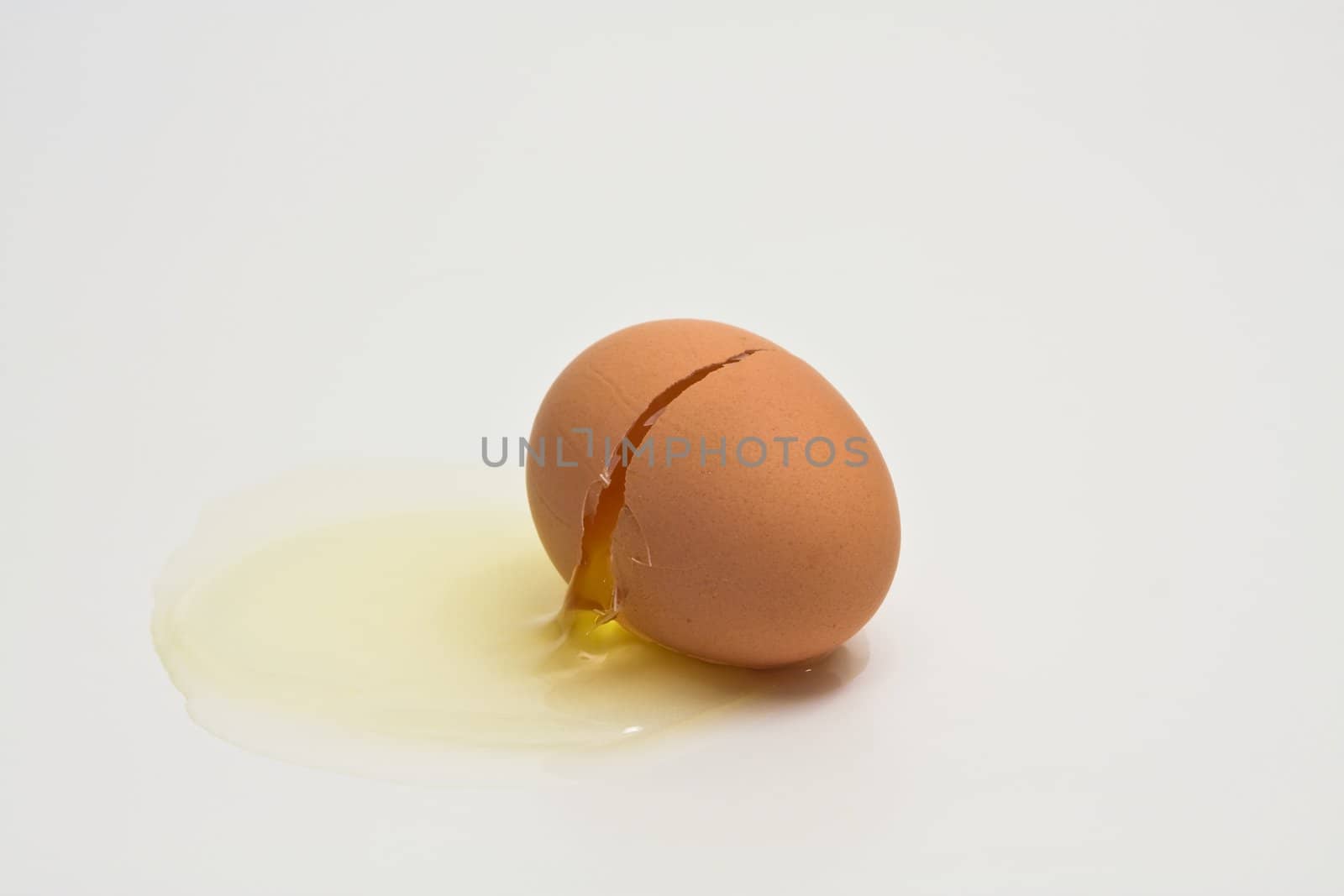 broken egg on white background
