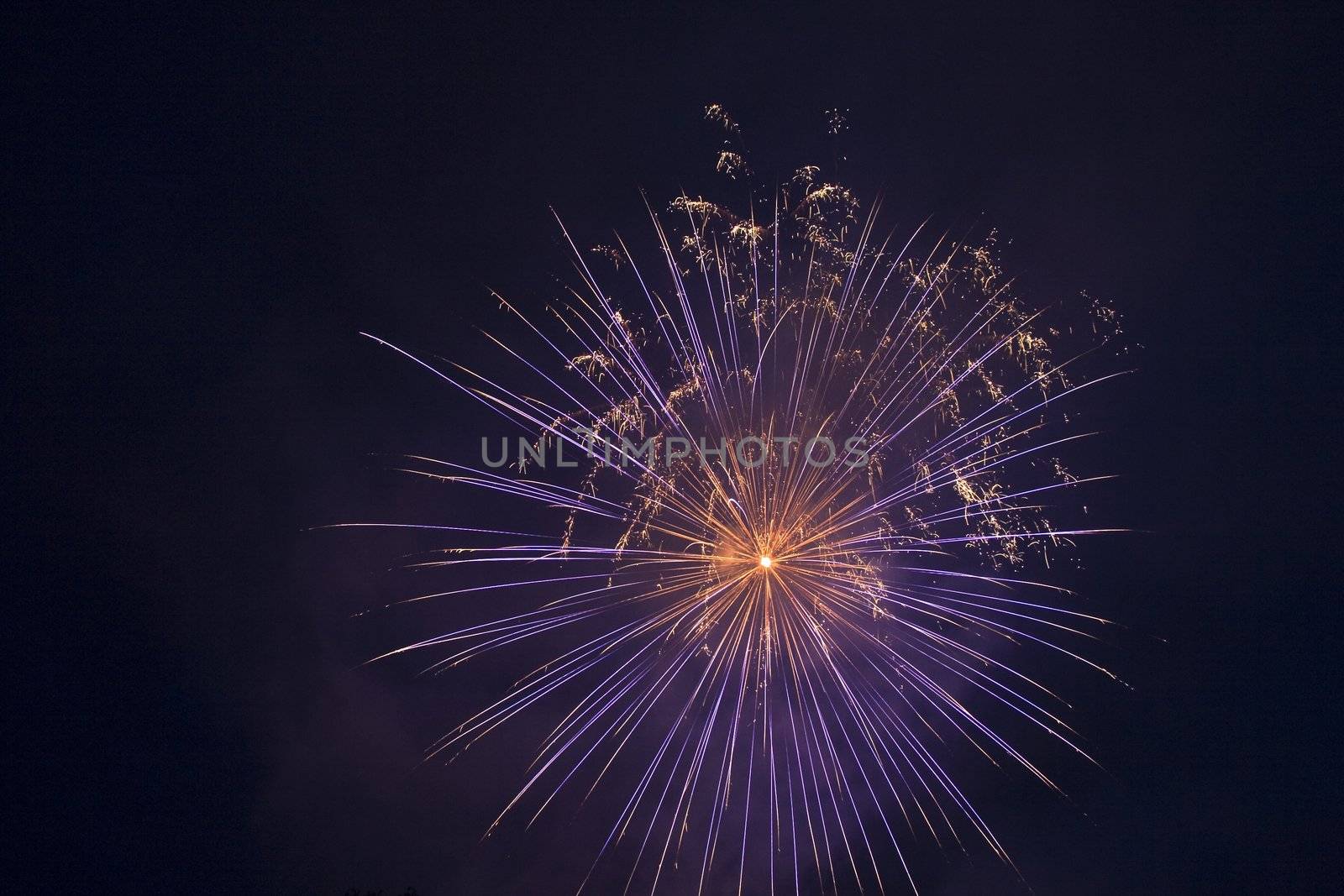 fireworks on the sky