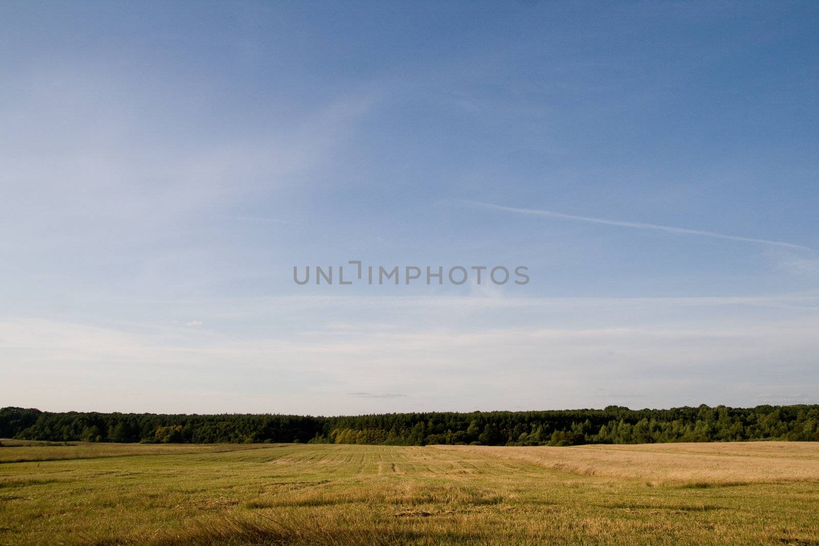 Wheaten field by KadunmatriX