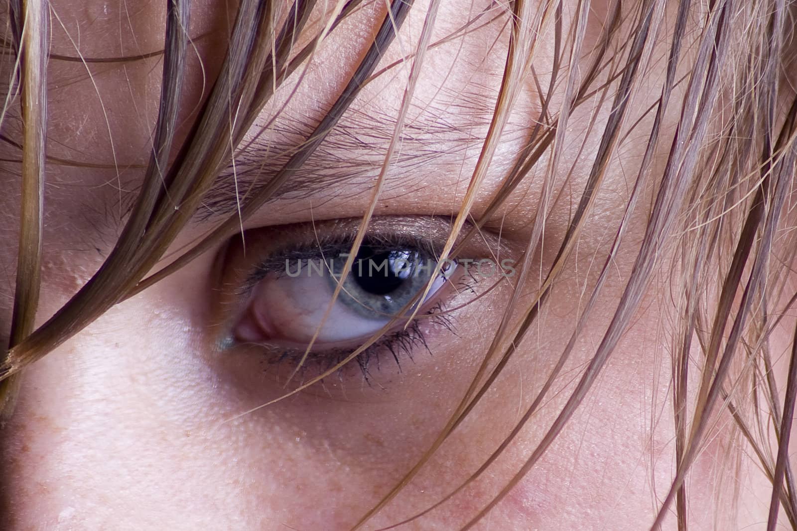 Close-up picture of female eye
