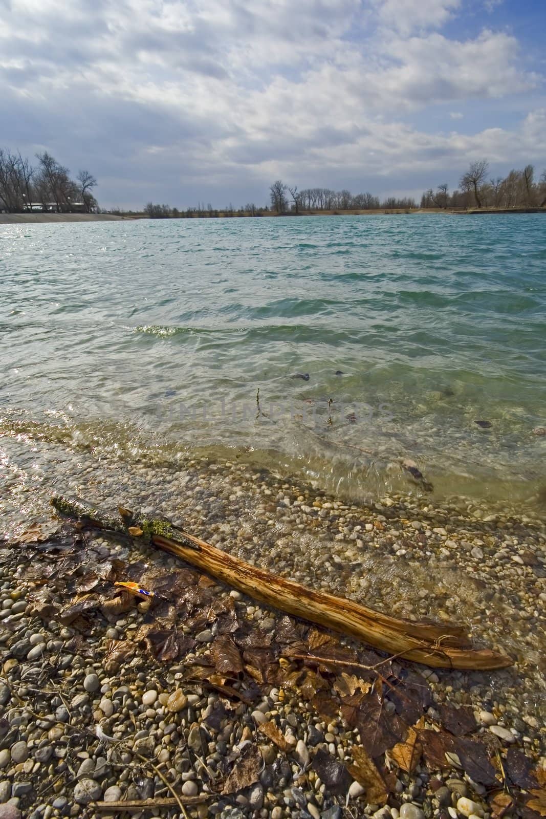 Wooden stick on coast of a lake