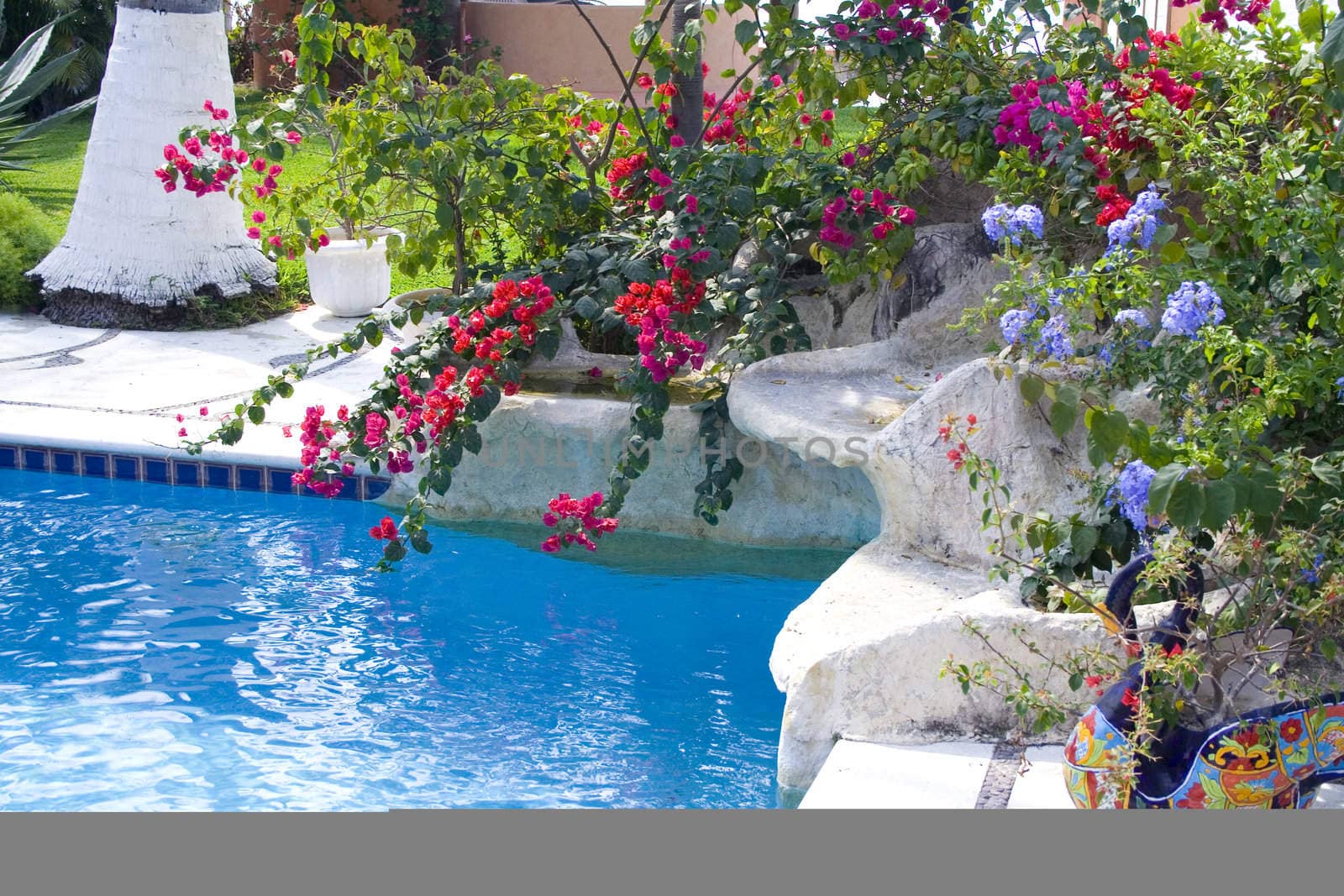 Beautiful blue pool surounded by plants an flowers