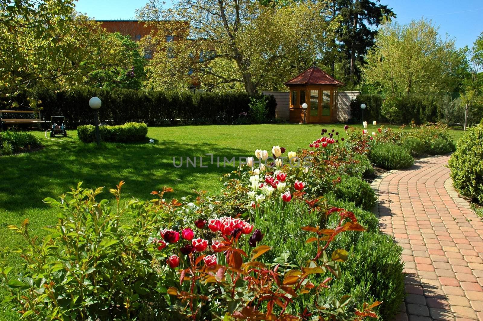 Garden with tulips, gazebo and path