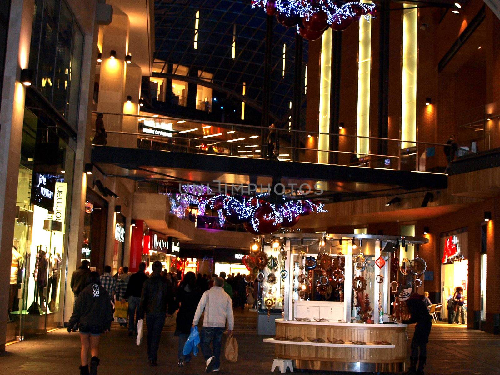 christmas shopping by lulu2626