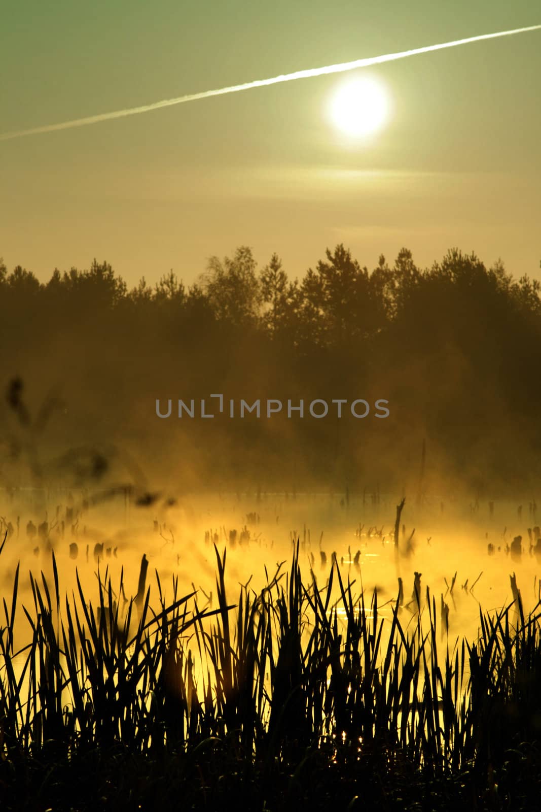 Morning on lake by KadunmatriX