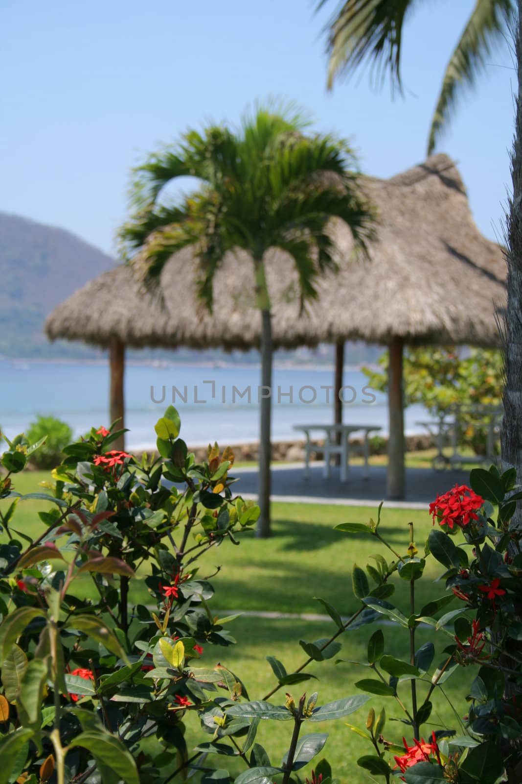 Beautiful Cabana surounded by flowers and ocean