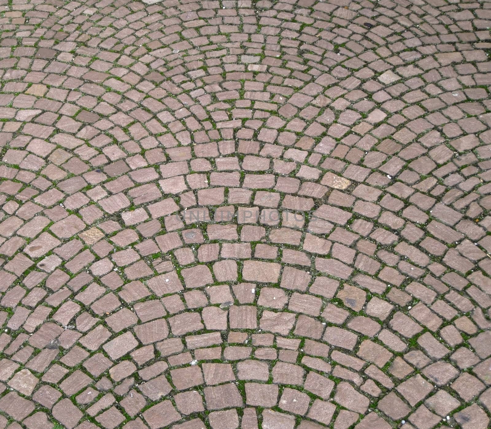 Streetway of stoneblock and grass background