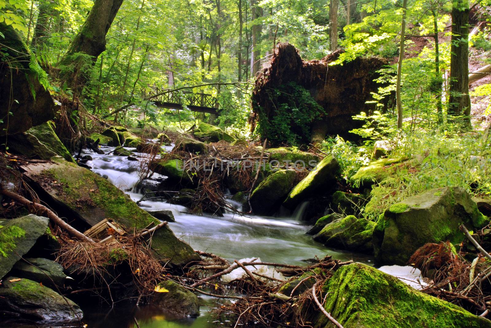Mountain creek in the forest with long exposure
