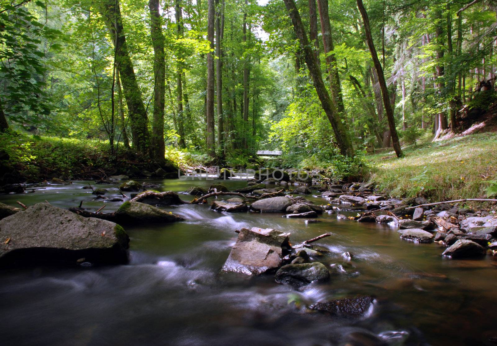 Mountain creek in the forest with long exposure