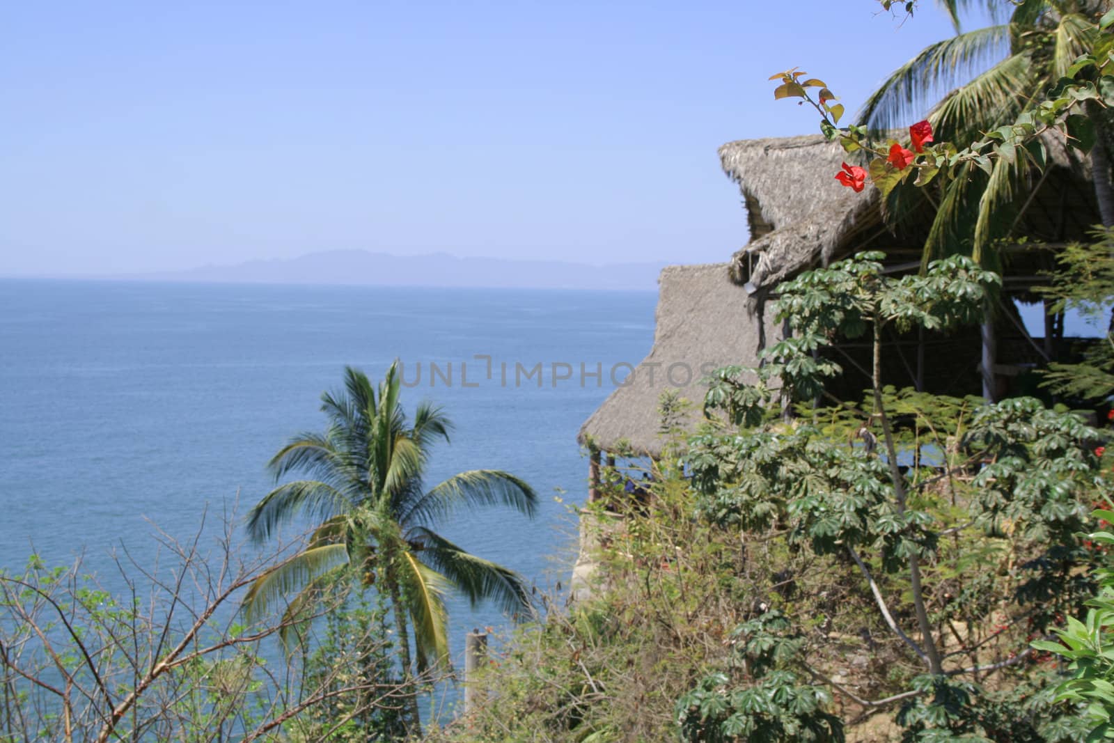 Beautiful Cabana surounded by flowers and ocean