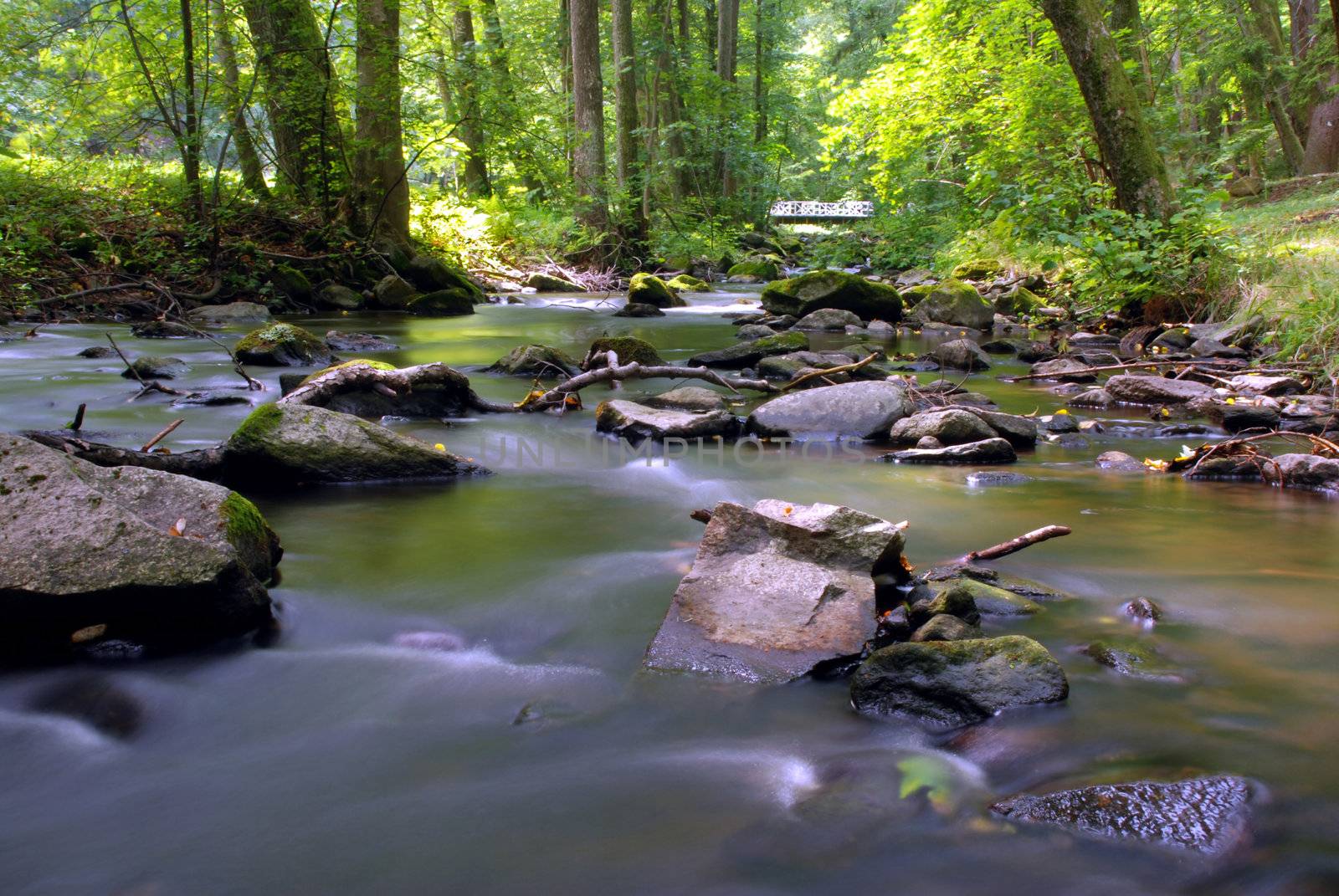 Mountain creek in the forest with long exposure