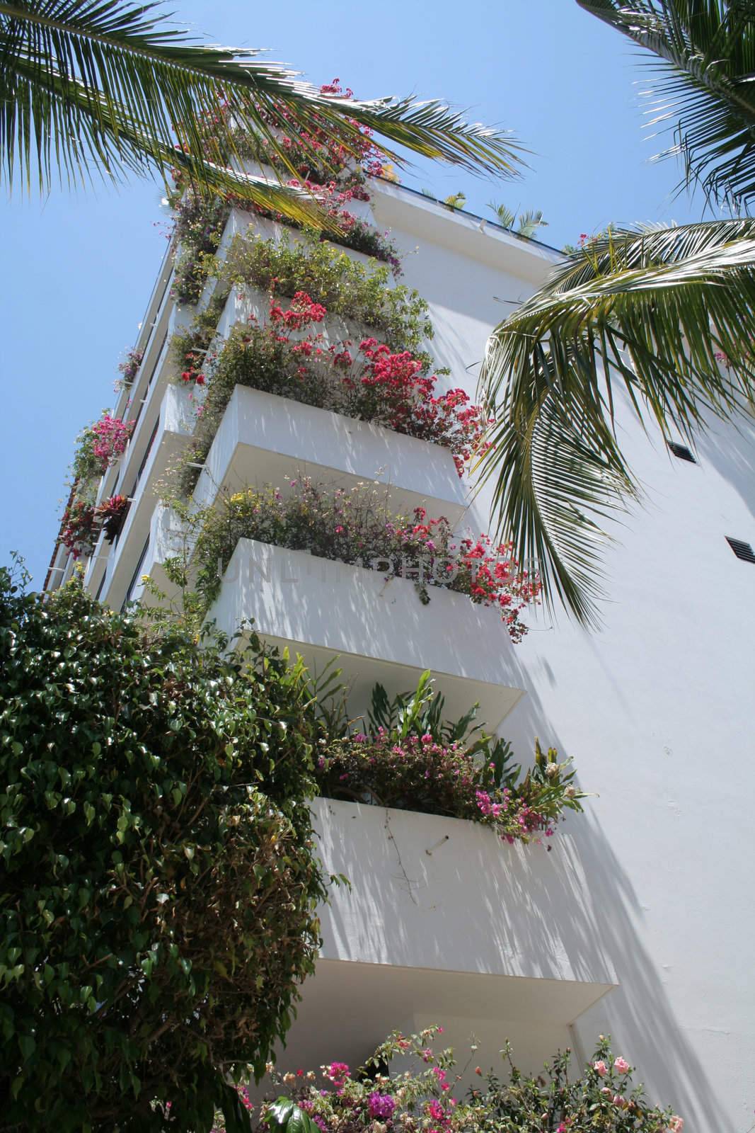 Modern hotelin Puerto Vallarta Mexico with lots of flowers