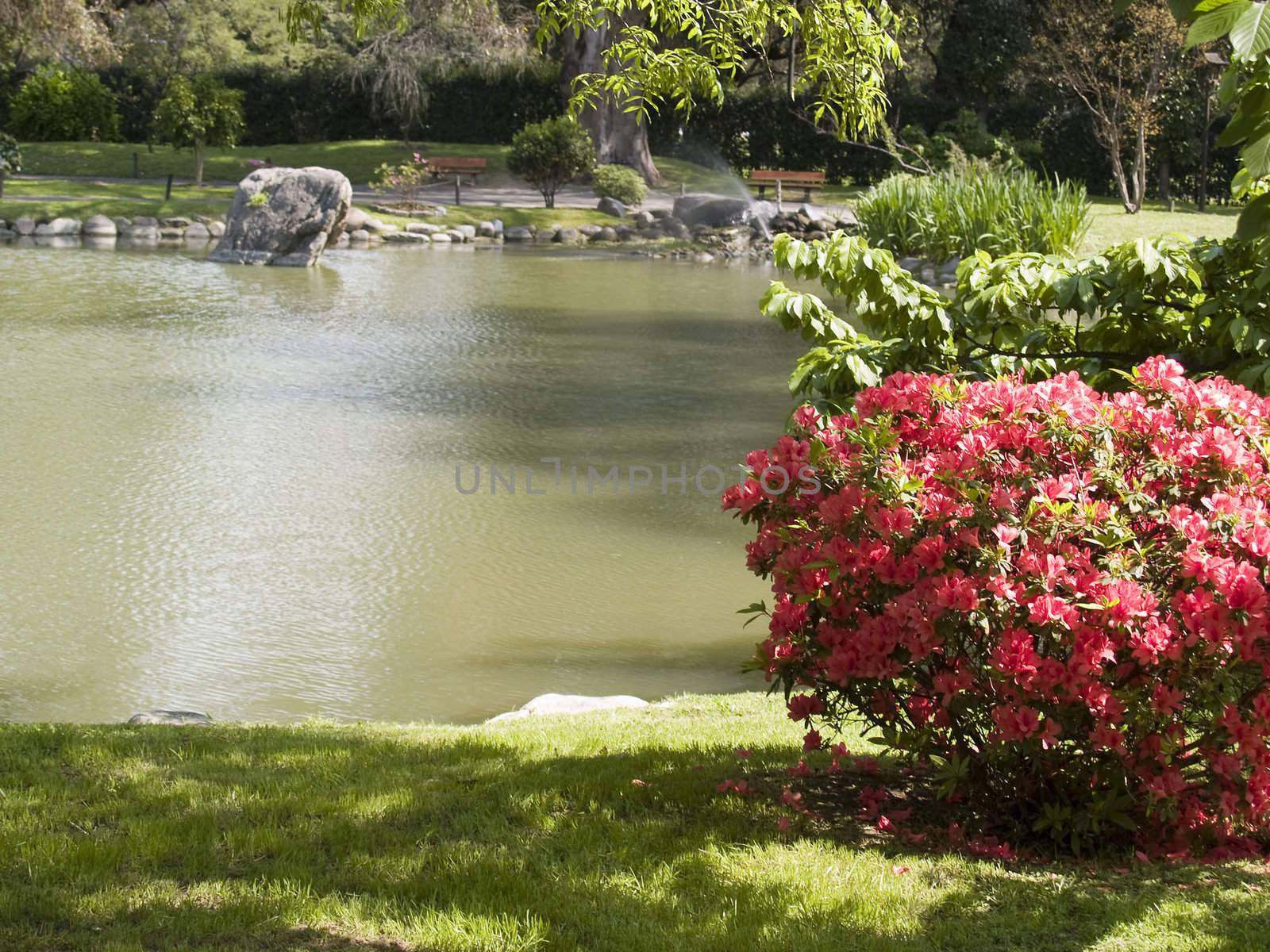 japanese Garden, Buenos Aires, Argentina by lauria