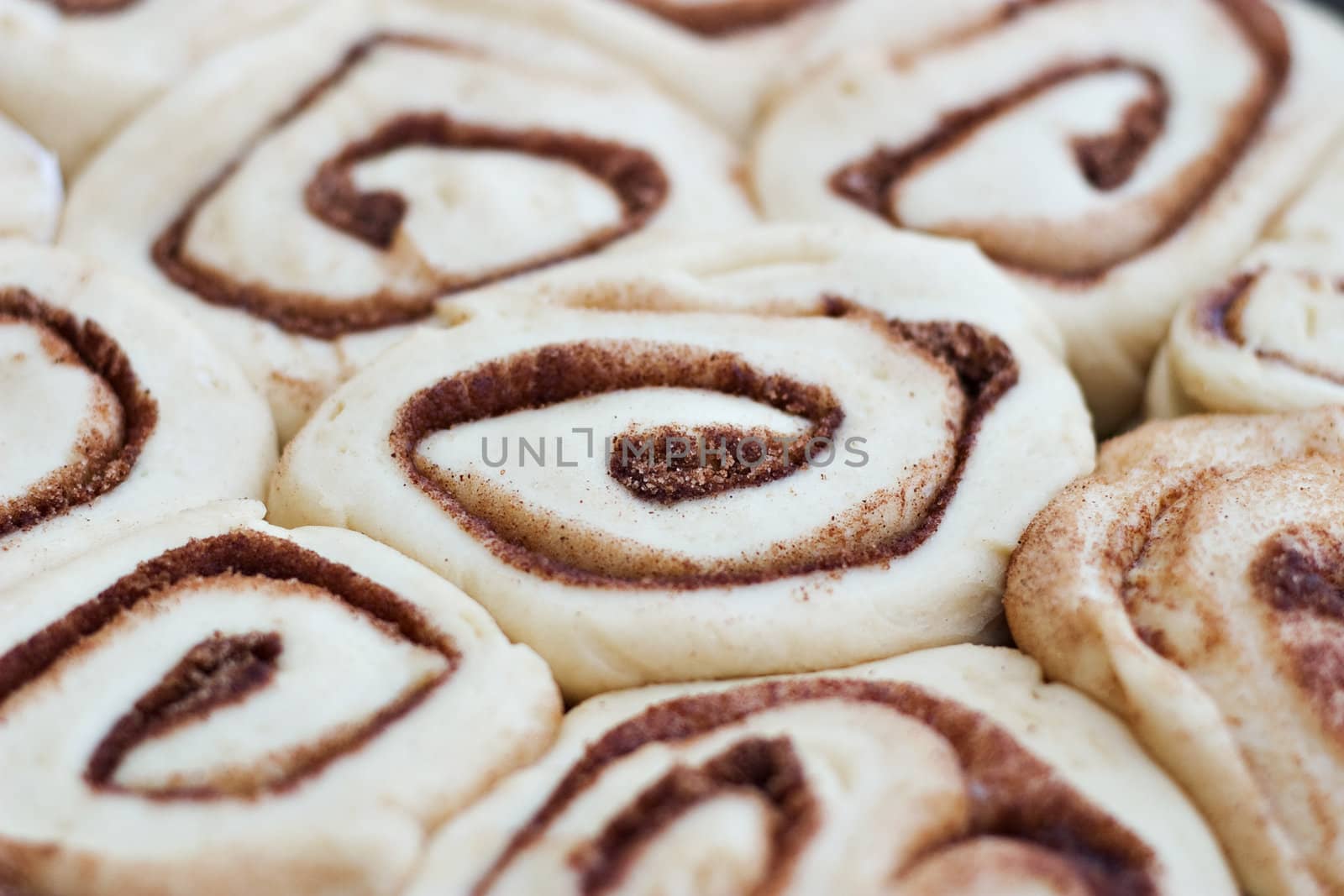 Uncooked cinnamon buns, ready for the oven. Shallow DOF. 