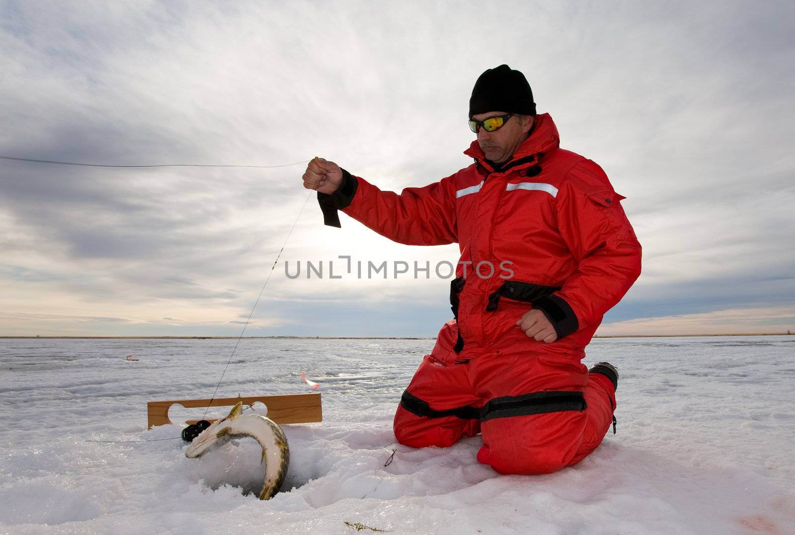 Ice fisherman catching a fish on a hand line