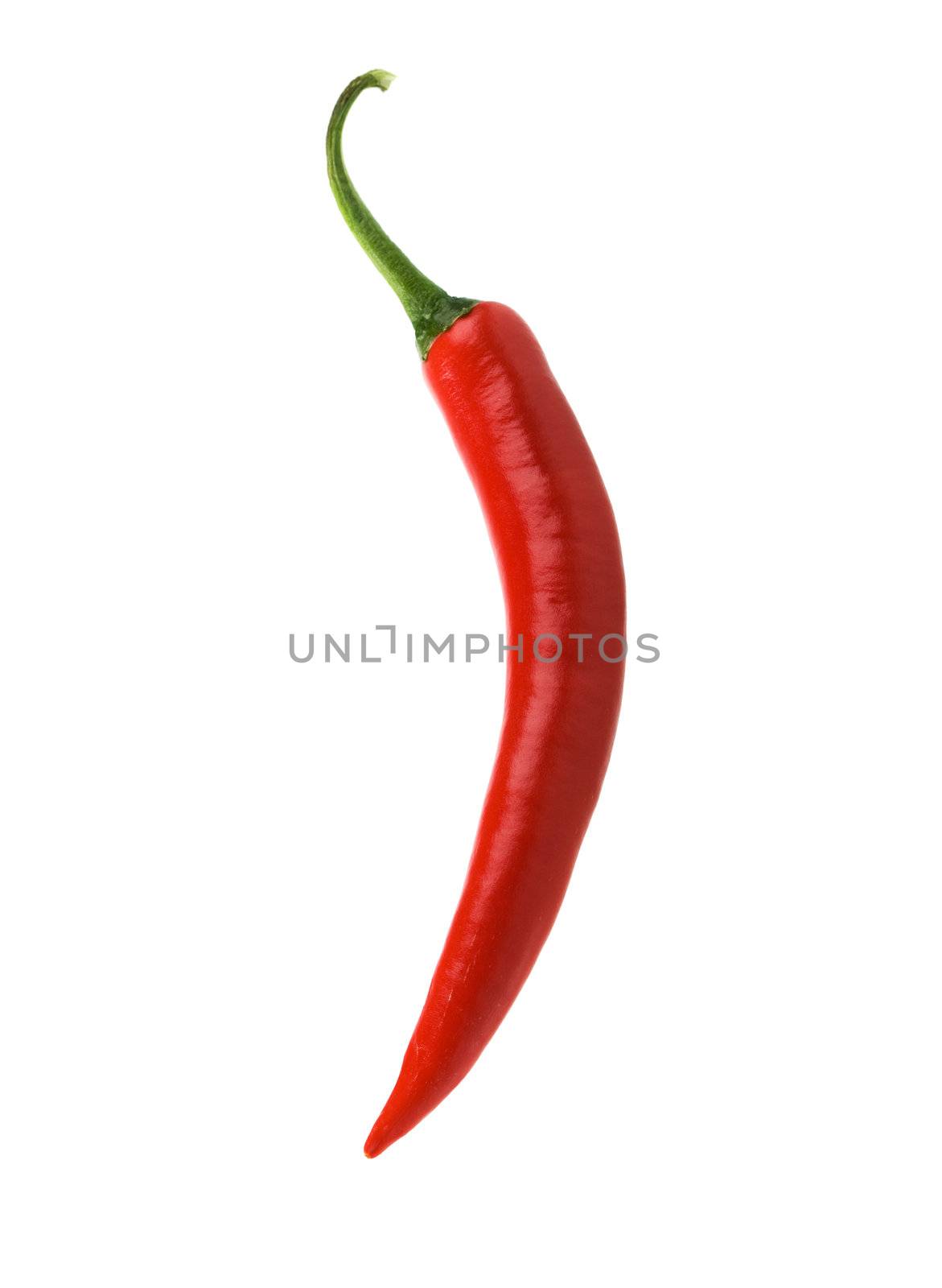 Isolated red chili pepper by stevemc
