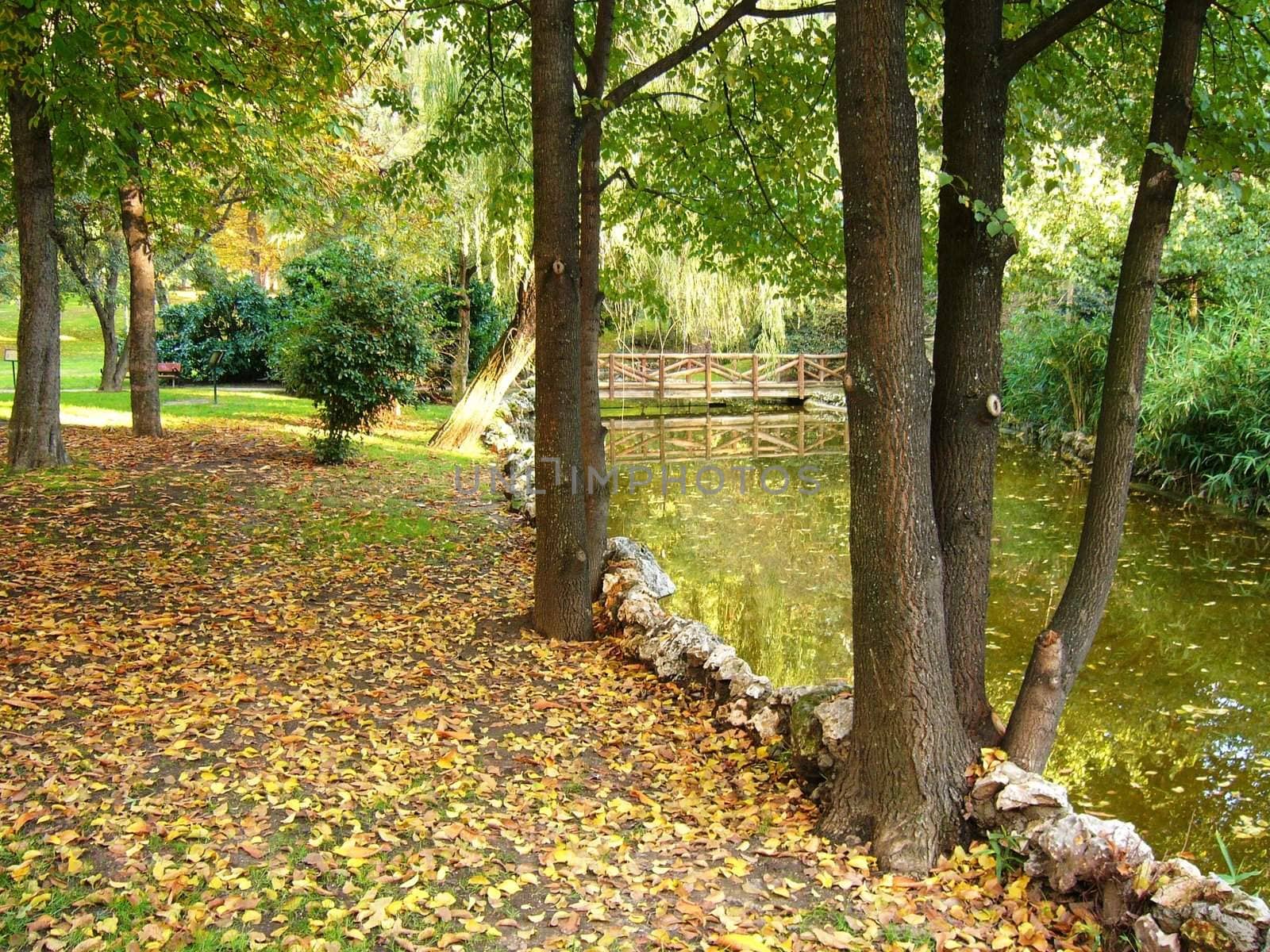 Alley near of pond in the park "Retiro"  of Madrid on autumn day.