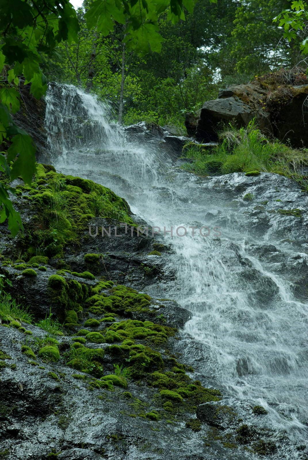 A small waterfall flowing down moss covered rocks.