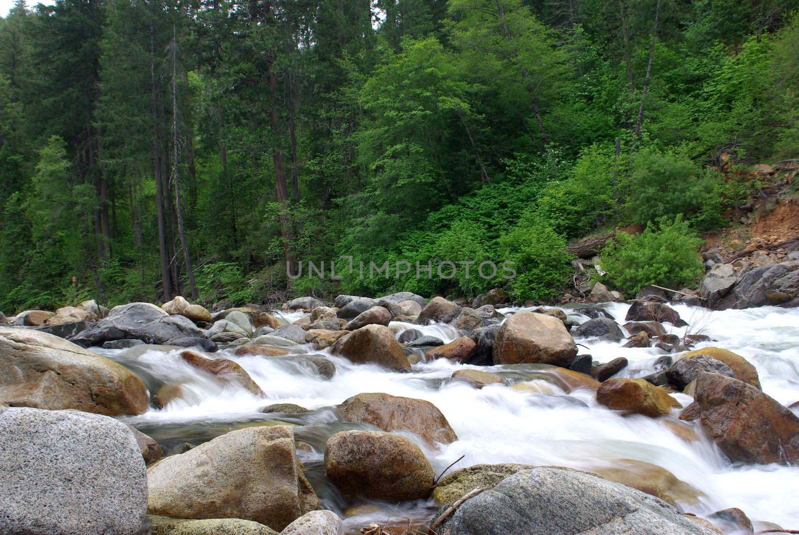 White water rapids on the south fork of the American river.