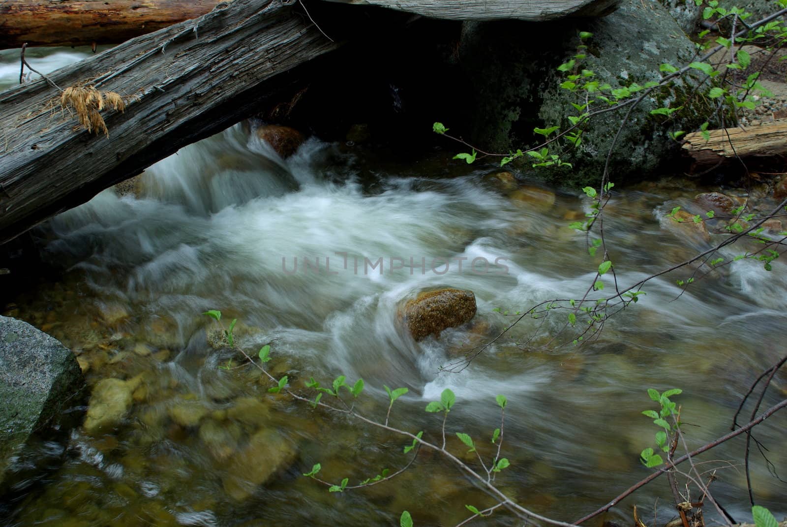 Clear mountain stream flowing through the forest