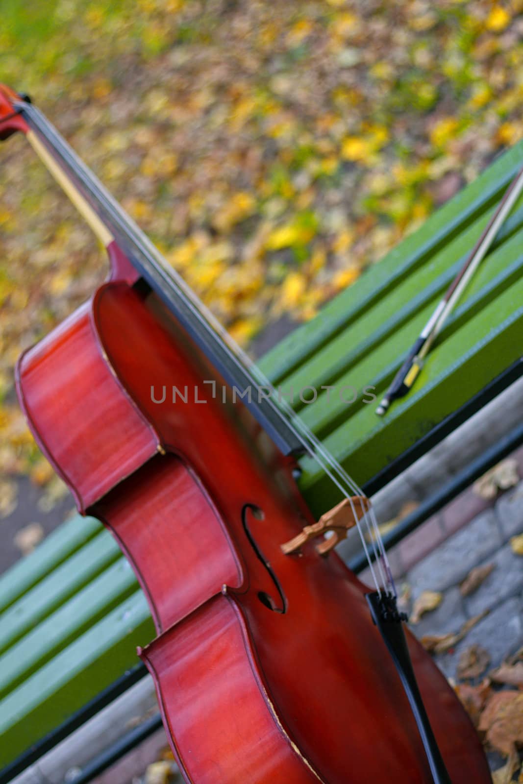 Violoncello on a bench in ����� in the autumn