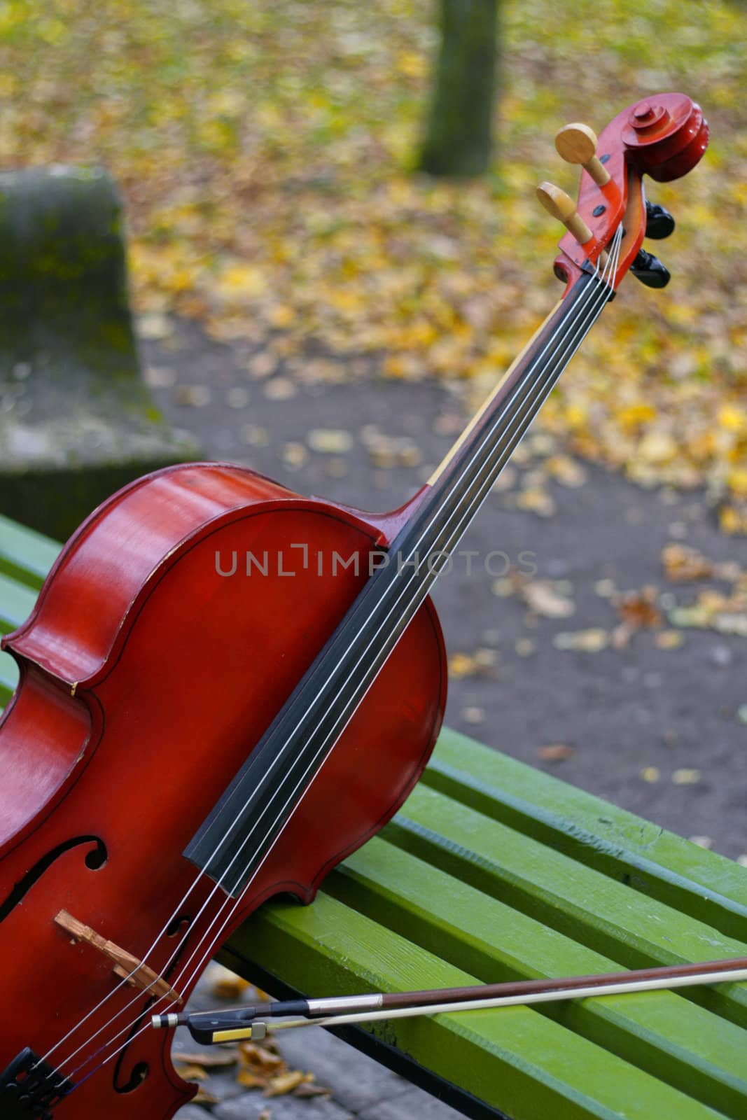 Violoncello on a bench in ����� in the autumn