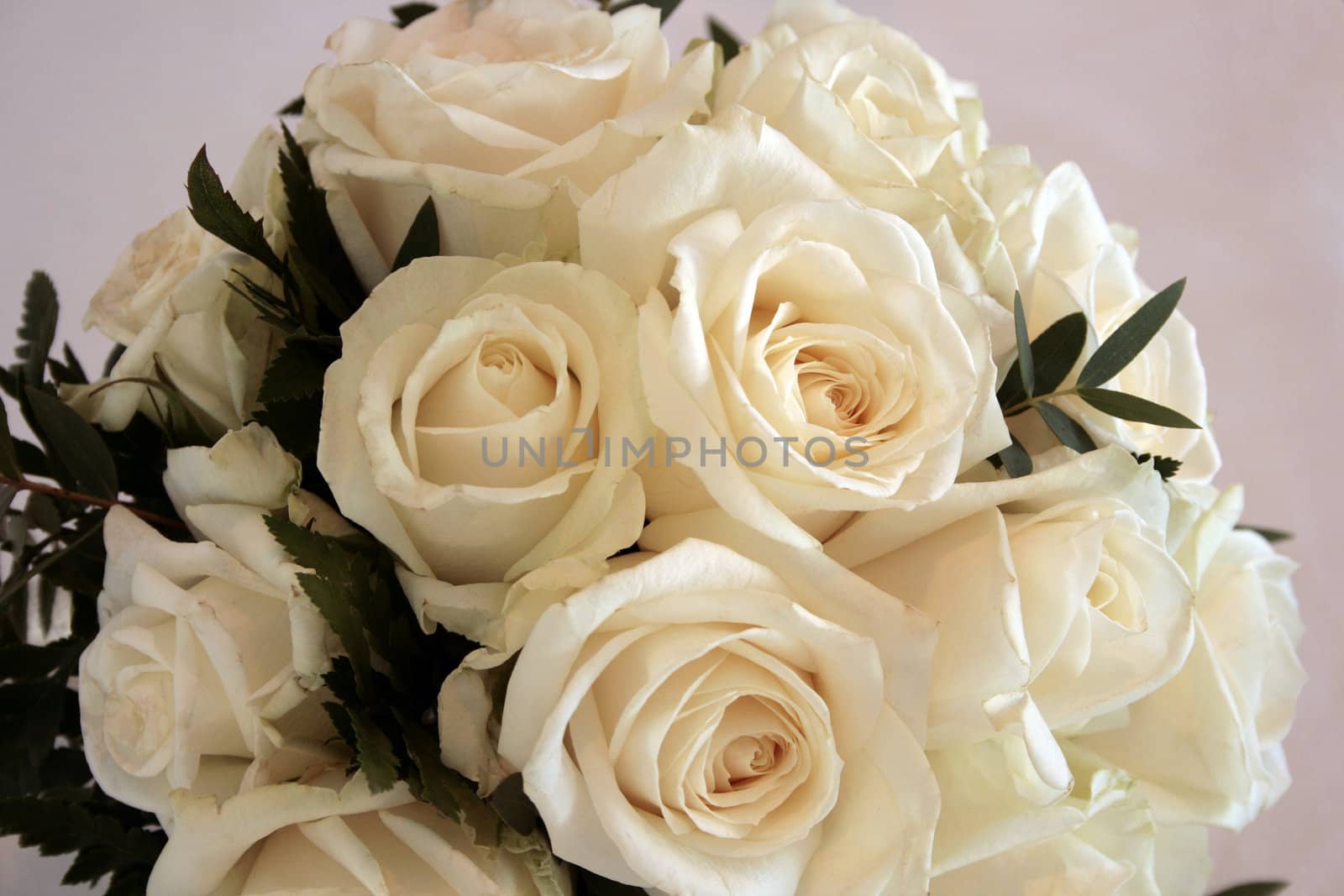 white roses - wedding bouquet by sigthrudur