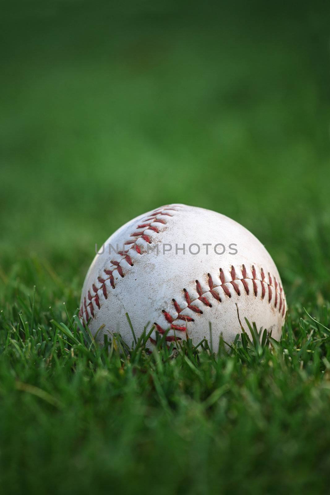 An old well-used baseball sitting in the grass of the outfield. Plenty of space for text. Selective focus on red stitches.