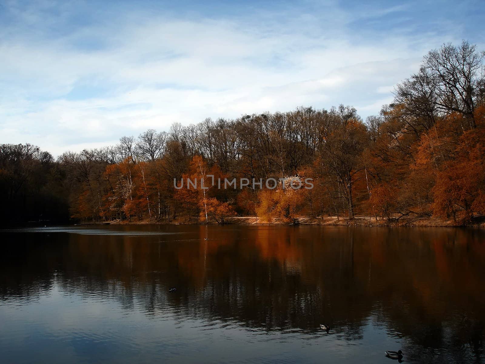 Quiet afternoon by the lake