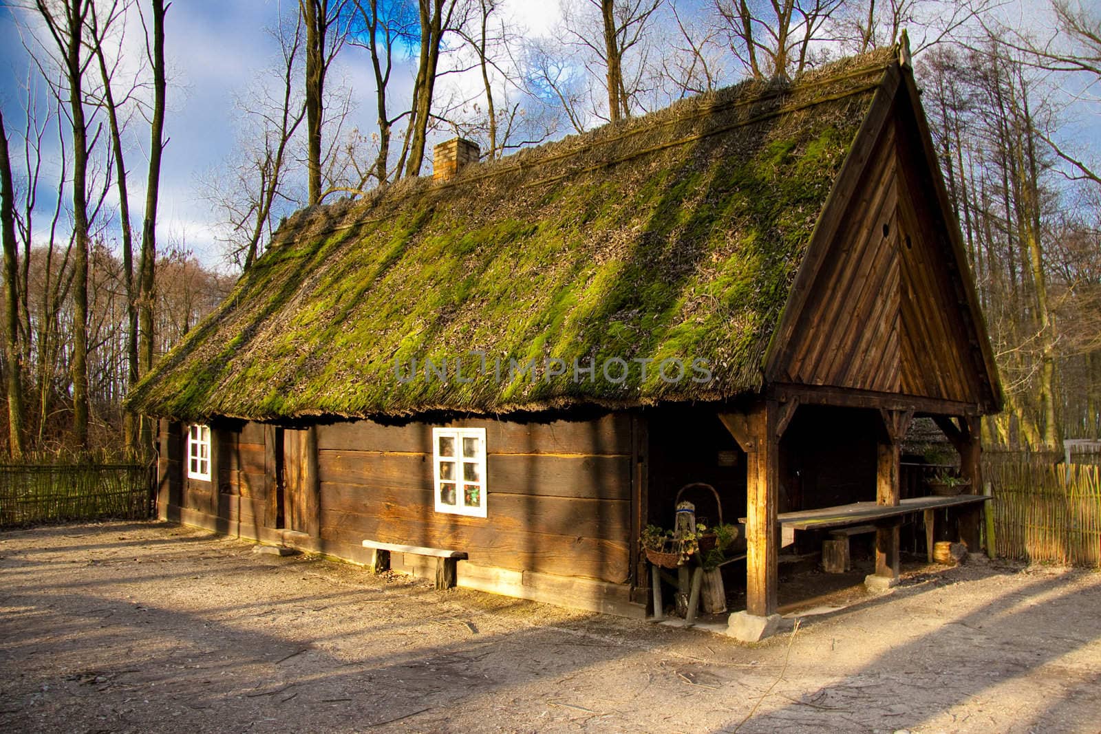 Old wooden cottage green grass on the roof. Biskupin Poland.