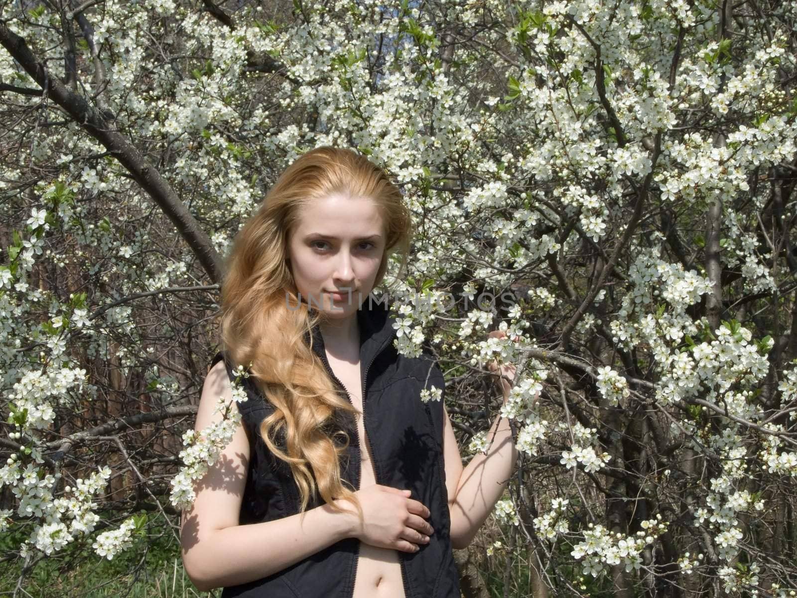 The young beautiful girl in blossoming cherry to a garden 