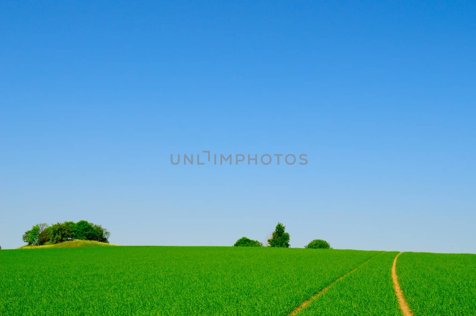 perfect farmland and blue sky