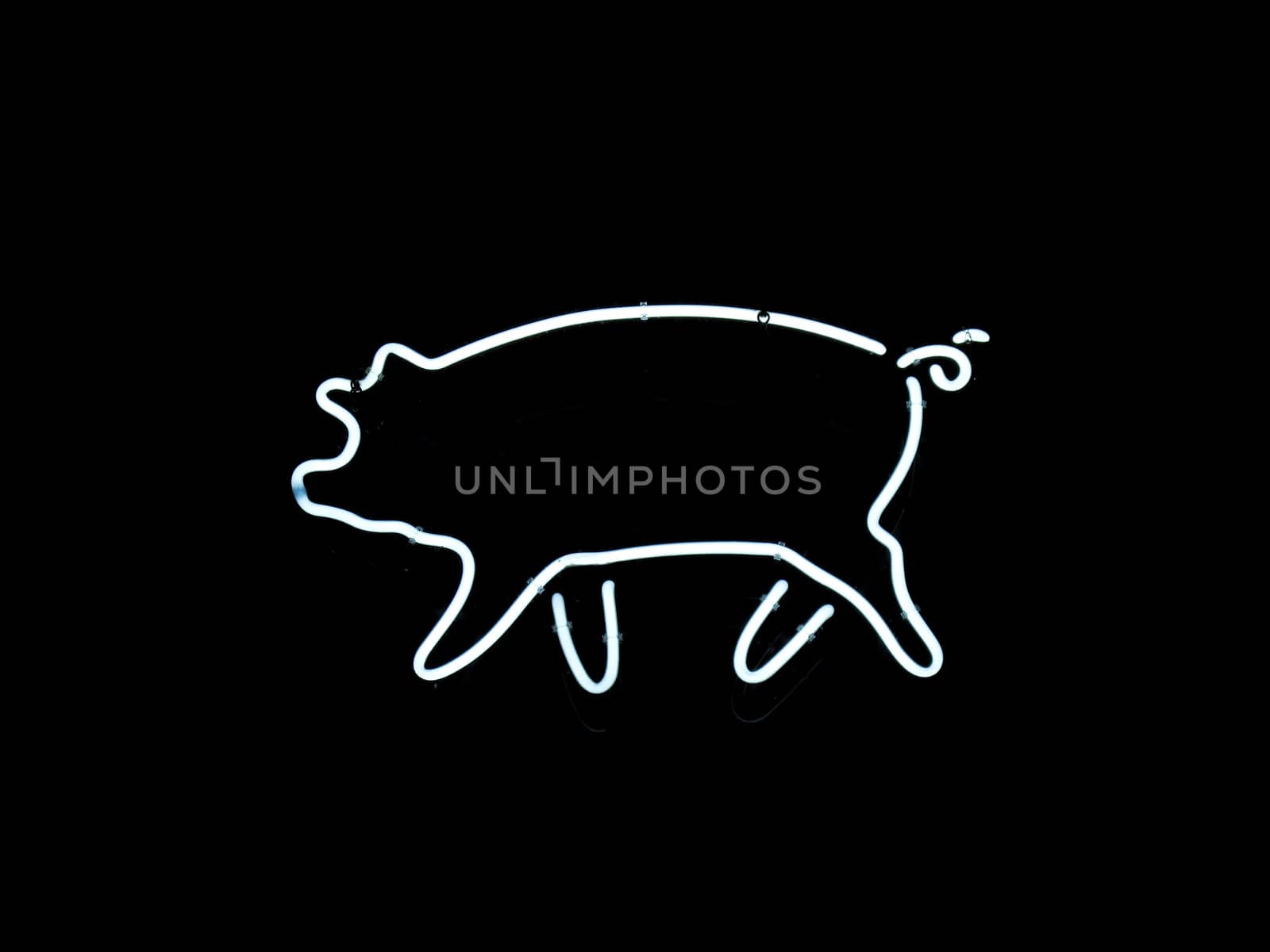 Neon pig-shaped sign by ADavis
